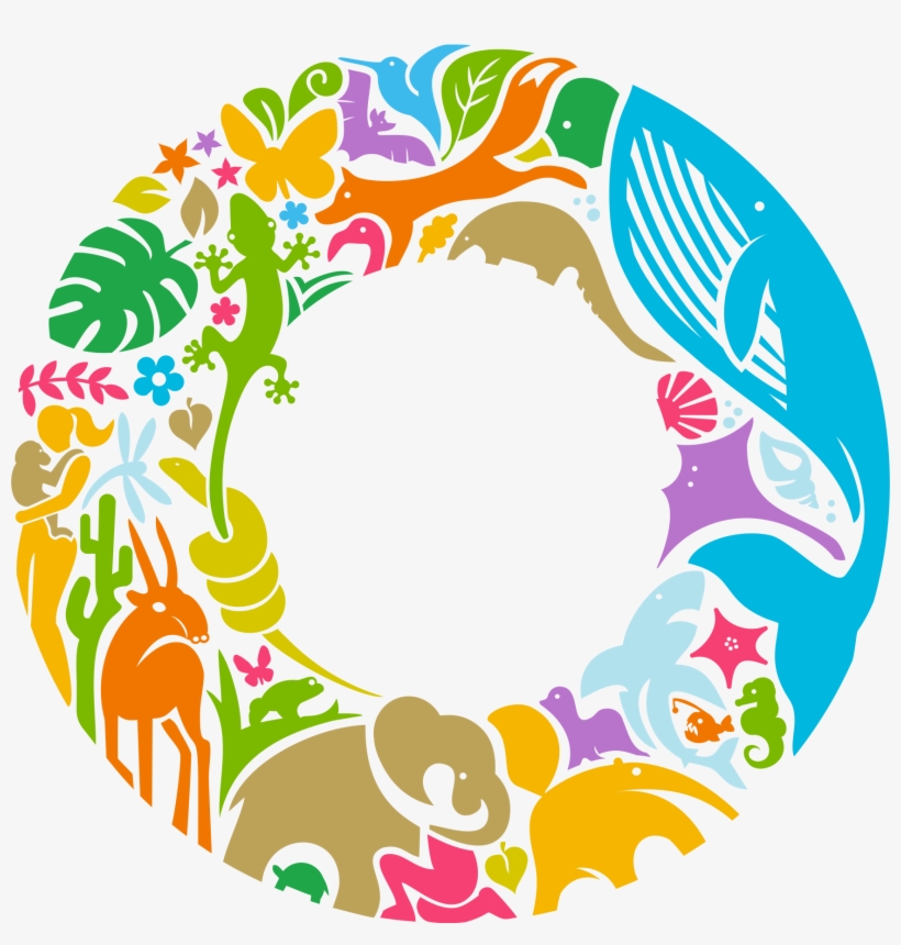 Circle, transparent png #4213779