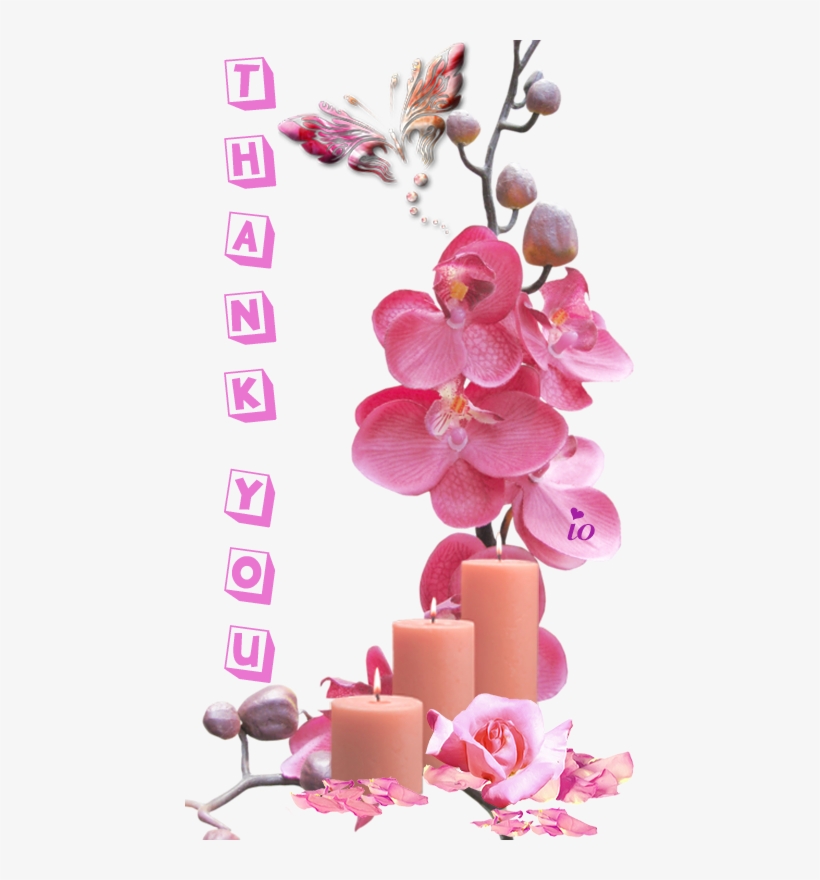 Orchid Flower Frame Psd, transparent png #4213948