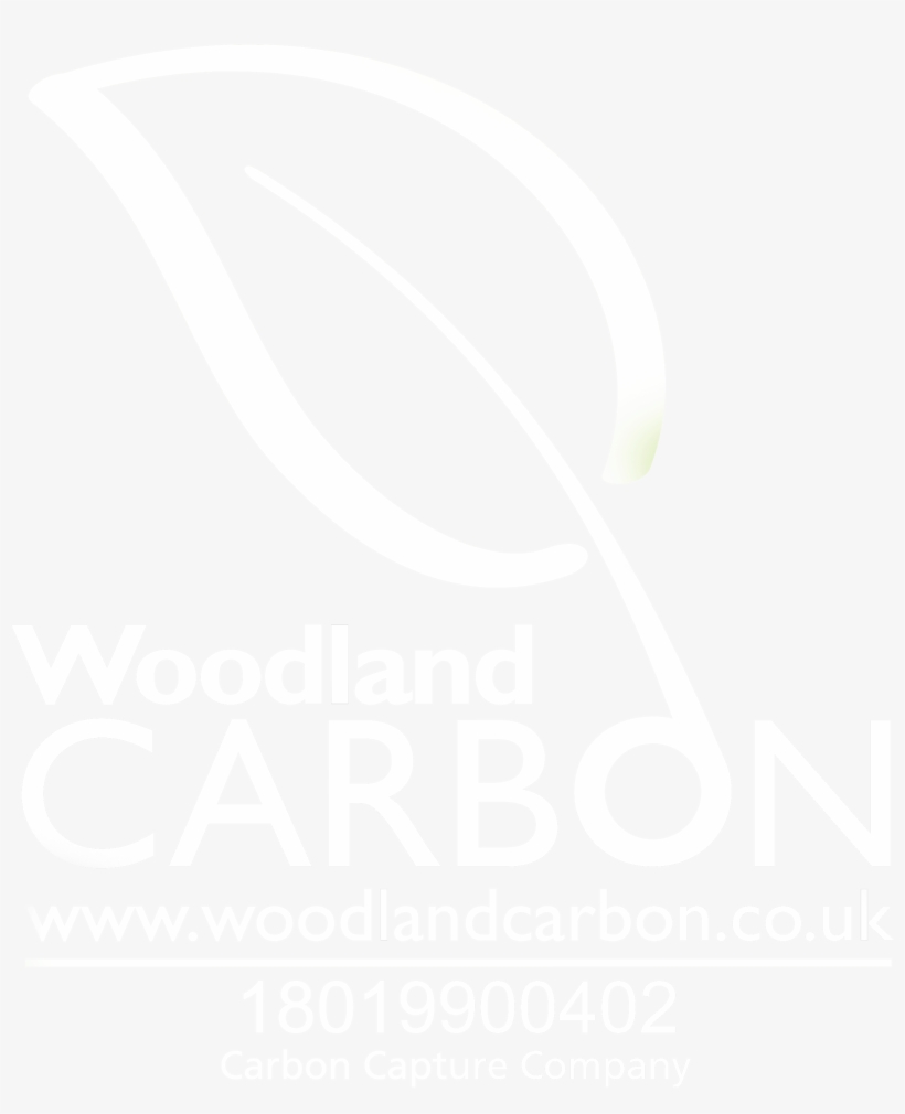 Woodland Carbon - Keep Calm And Carrion, transparent png #4214935