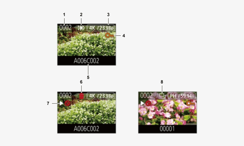 Display Of The Clips In The Thumbnail Screen - Thumbnail, transparent png #4214956