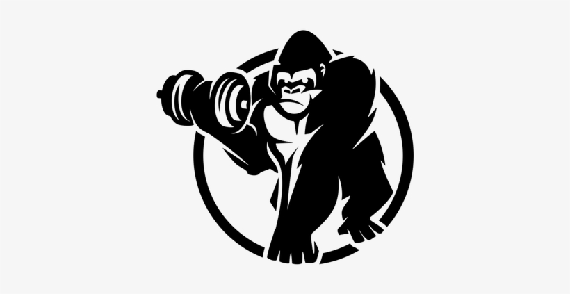 Gorilla Sports De - Gorilla Sport, transparent png #4215136
