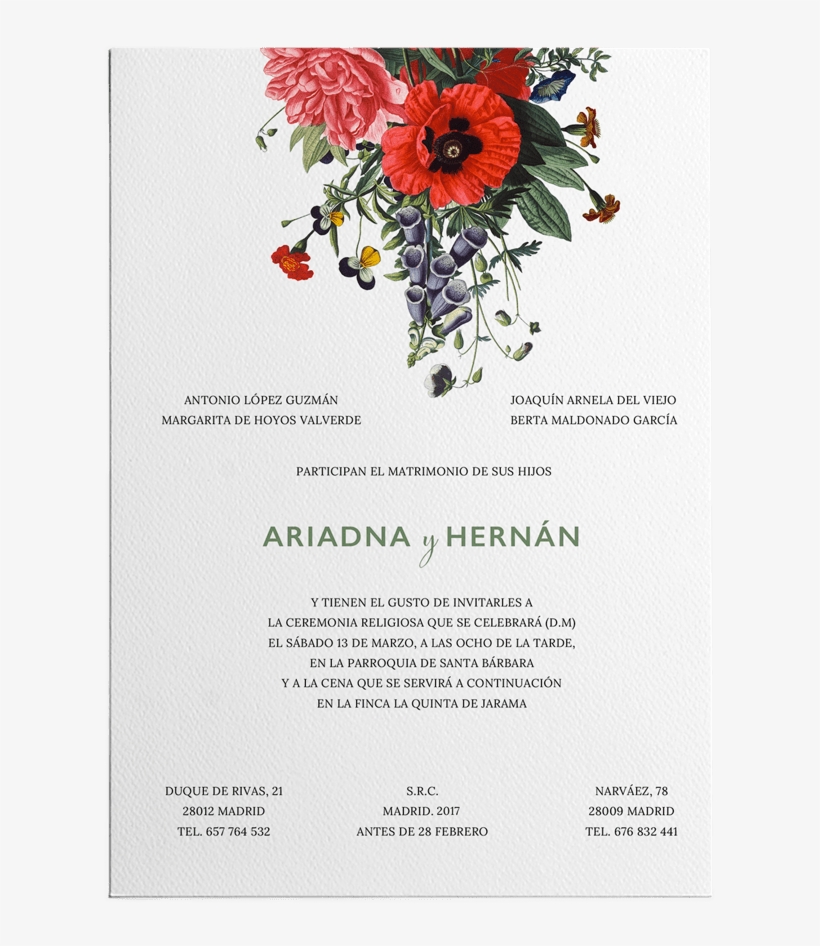 Inicio - Hibiscus, transparent png #4215322