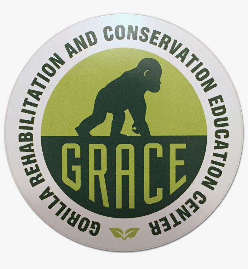 Grace Logo Sticker - Grace Gorillas, transparent png #4215661