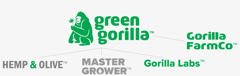 Green Gorilla Launches Scalable Hemp Growing Operation - Green Gorilla, transparent png #4216615