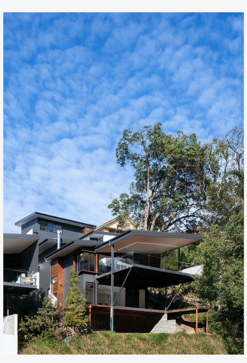 Hillside Cst - Tree, transparent png #4217159