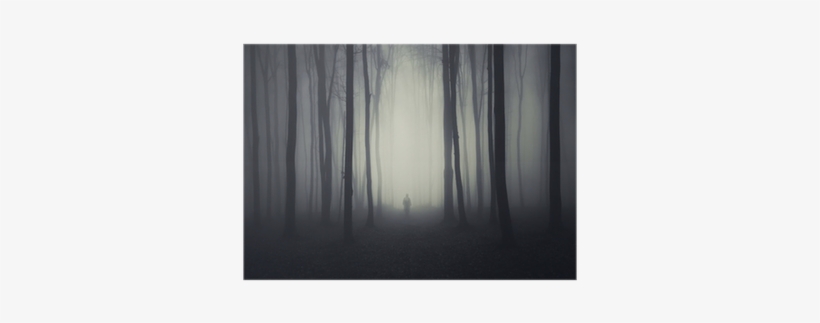 Spooky Forest Scene With Ghost On A Path Poster • Pixers® - Poster: Andreiuc88's Spooky Forest Scene With Ghost, transparent png #4217353