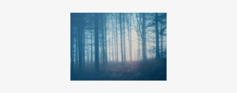 Color, transparent png #4217638