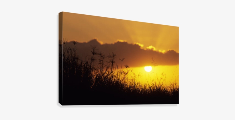 Hawaii, Maui, Sunset Over Hillside - Great Big Canvas Mary Van De Ven Poster Print Entitled, transparent png #4218123