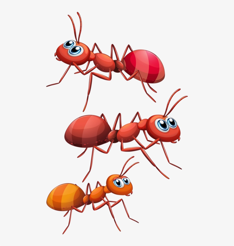 Ants Hormiga Dibujos, Animalitos Infantiles, Dibujos - 3 Hormigas Animados, transparent png #4218330