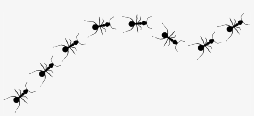 Ritmo Visual, transparent png #4218351