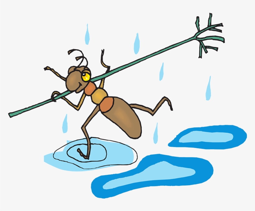 Las Hormigas Pueden Sobrevivir Debajo Del Agua - Учимся Читать По-английски. Книга Для Детей И Родителей, transparent png #4218763