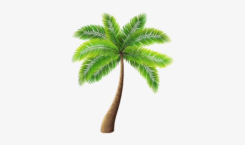 Palm Tree Png Transparent, transparent png #4219113