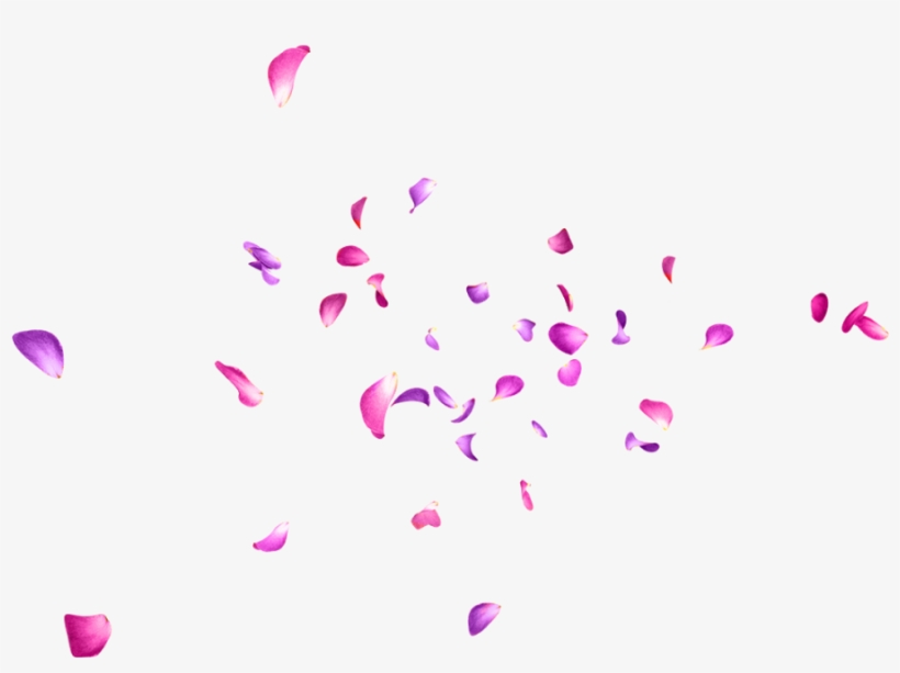 Floating Flower Png - Pétalos Rosa, transparent png #4219342
