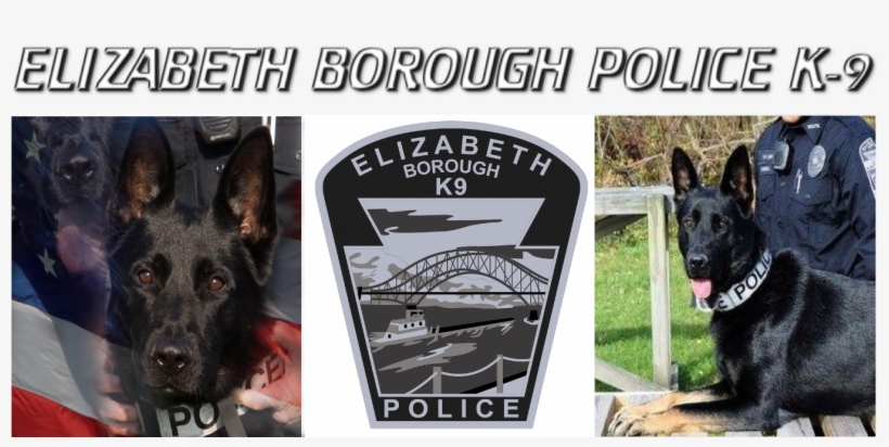 Holiday Scratch Off Extravaganza - Old German Shepherd Dog, transparent png #4219363