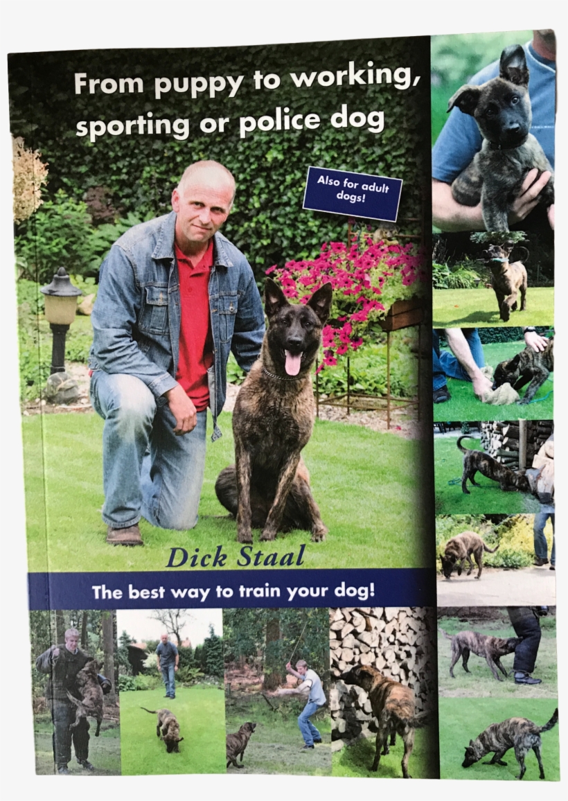 Dog, transparent png #4219632