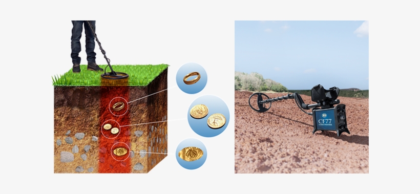 You Will Quickly Discover That The Cf77 Metal Detector - Detector De Metales De Profundidad, transparent png #4220176
