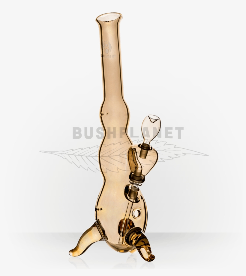 Grow Shop, transparent png #4220436