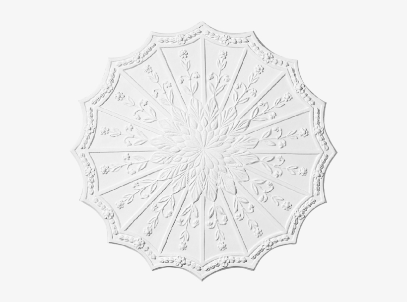 More Views - Umbrella, transparent png #4220460