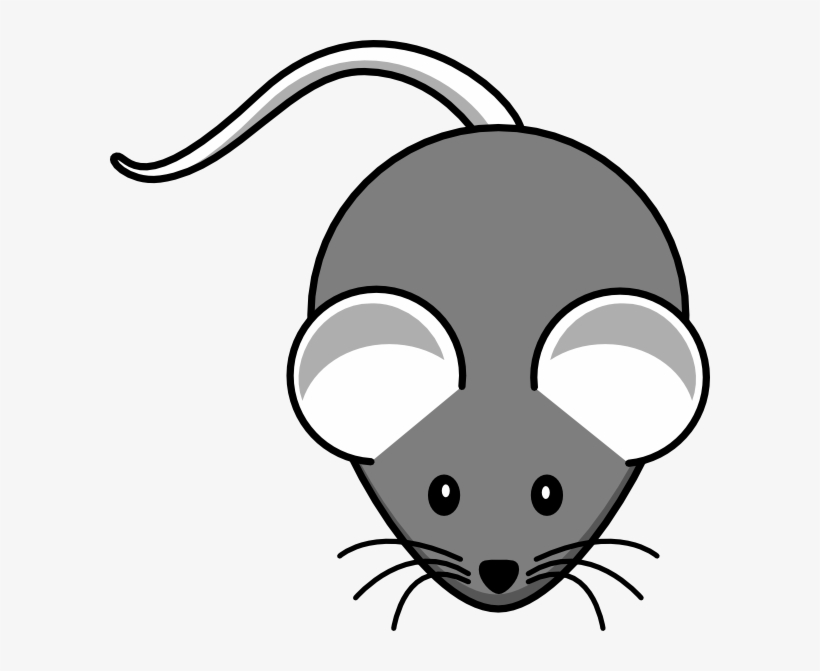 White Mouse Grey-body - Black Mouse Clip Art, transparent png #4220630
