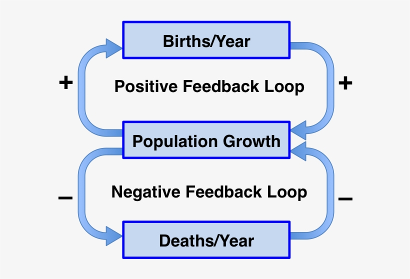 Feedback Loops Diagram - Positive Feedback Loop, transparent png #4220632