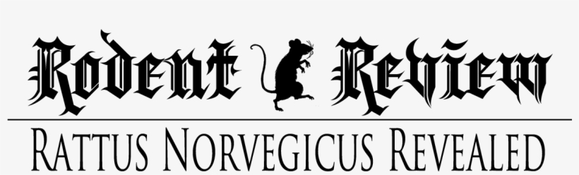 Legendary Rat, G-nibble, Aka Rattus Norvegicus, Tells - Silo Fly Bug Mouse Vintage Look Trailer Truck Hitch, transparent png #4220907