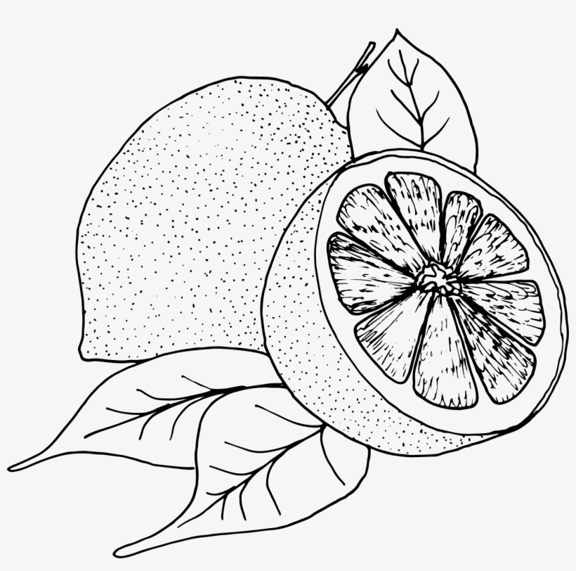 Organic Lemon Zest - Isle Of Wight Distillery, transparent png #4221151