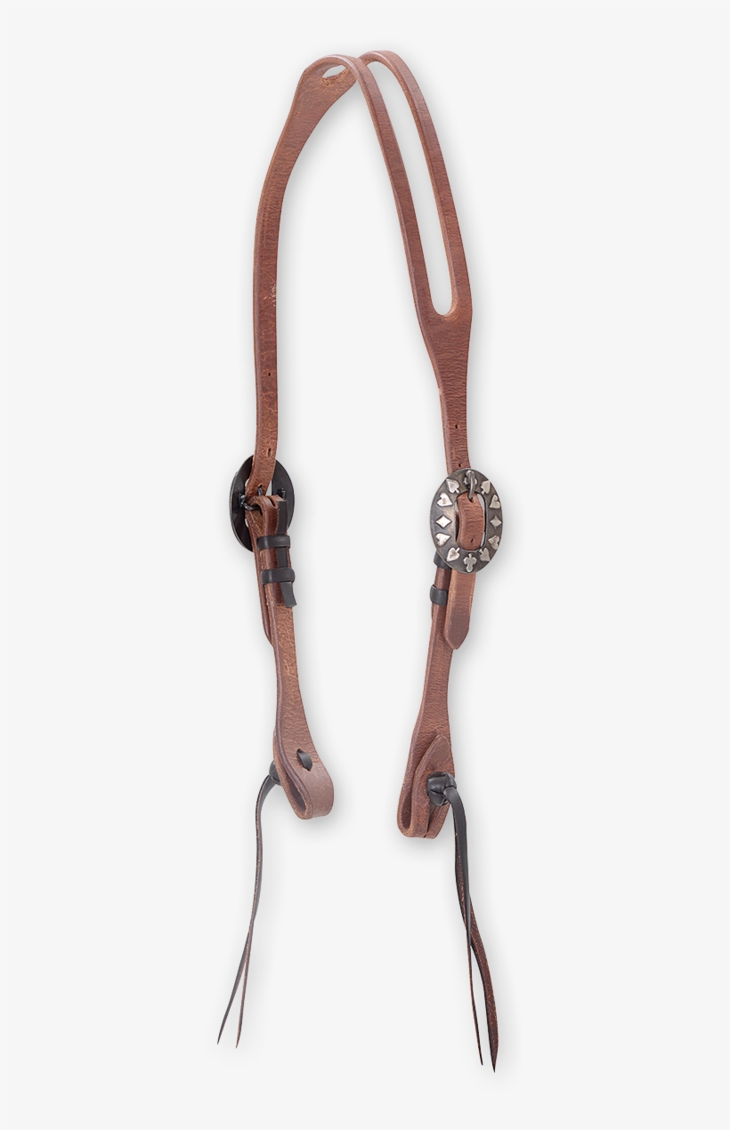 Halter, transparent png #4221401