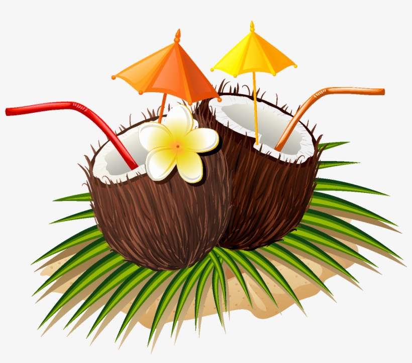 Hand Drawn Natural Juice Coconut Vector - Counter Art Cart11977 5 Oclock Coconuts Single Tumbled, transparent png #4222767