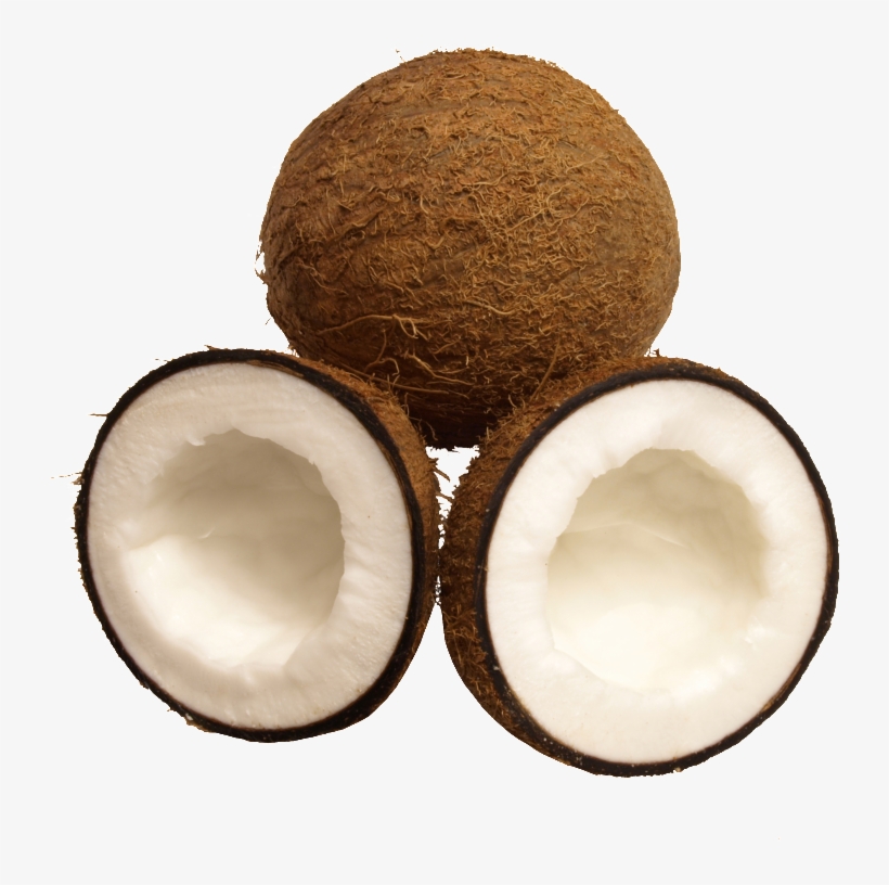 Tropical Fruit Coconut Png - Fruit, transparent png #4223021