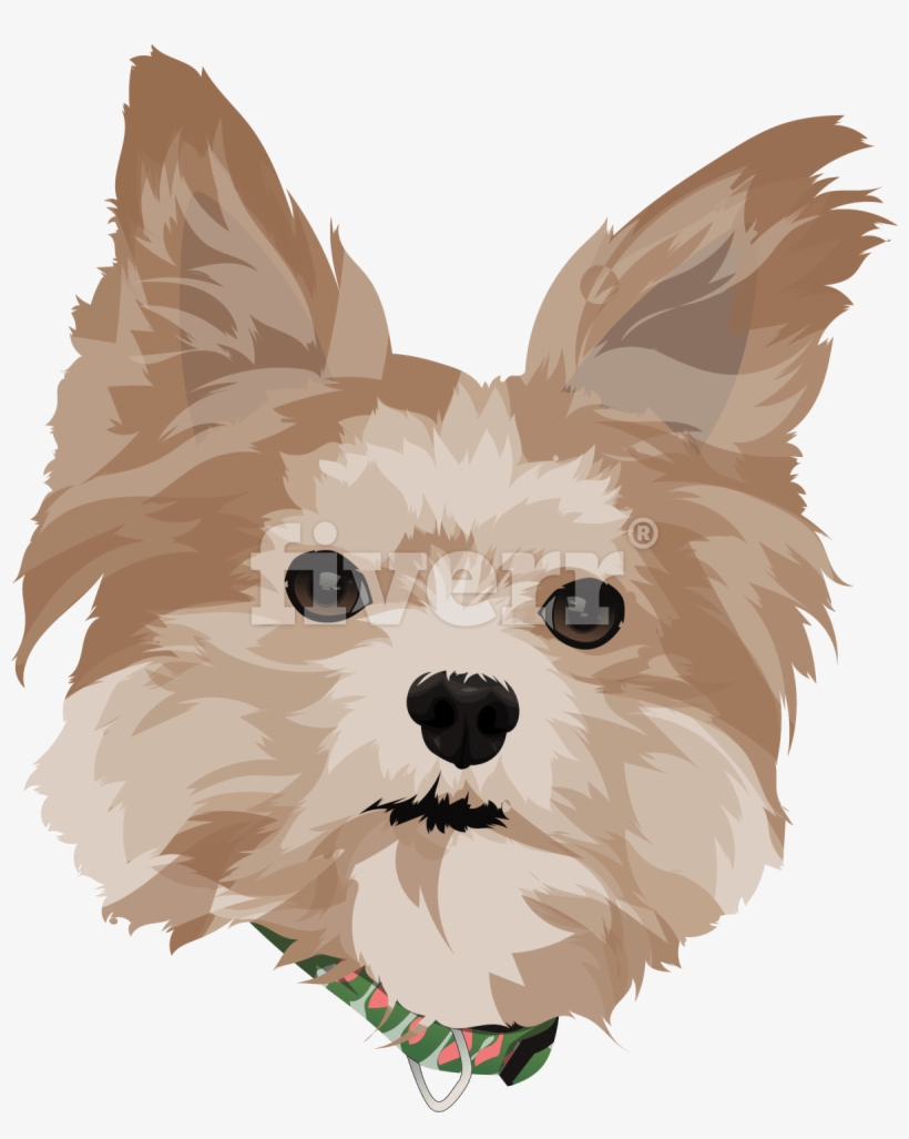 Make Vector Illustration Dog Cat Animal Pet Cartoon - Yorkshire Terrier, transparent png #4223078