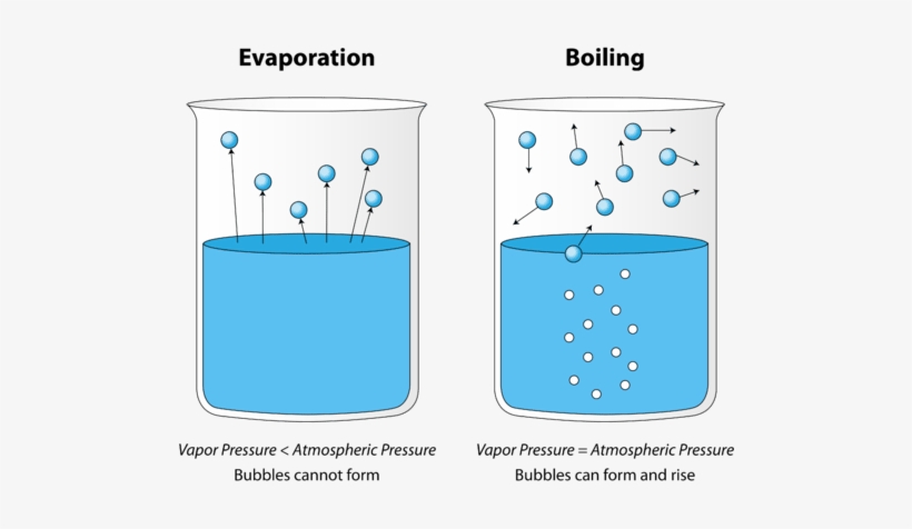 Illustration Showing The Difference Between Evaporation - Evaporation, transparent png #4223213