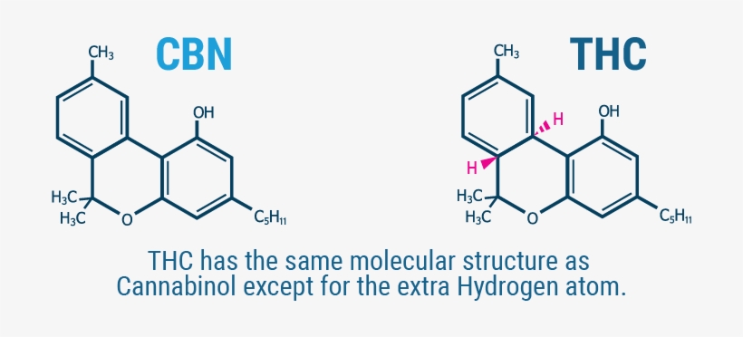 Cbn Composition - Thc Cbd Cbn Molécules, transparent png #4223969