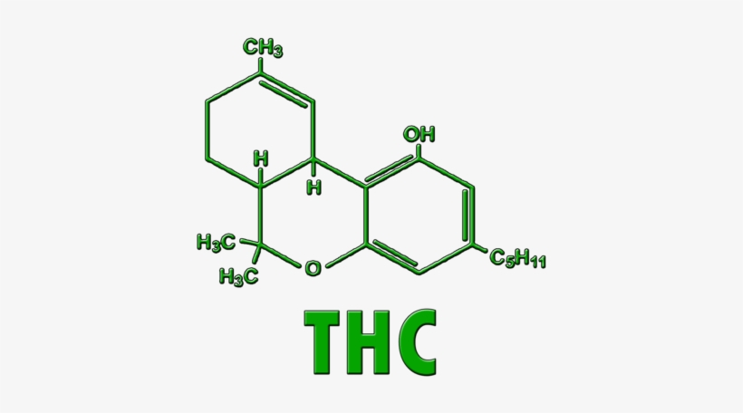 Thc Vs Thujone Molecule, transparent png #4224091