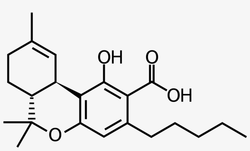 Tetrahydrocannabinolic Acid, transparent png #4224106