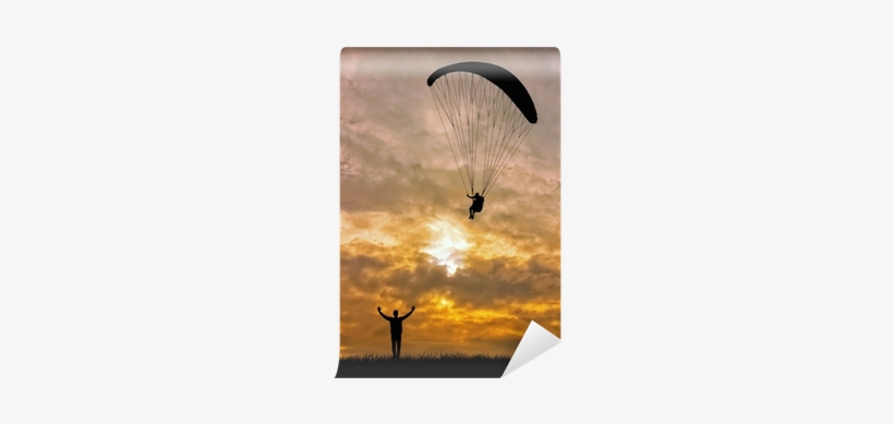 Stock Photography, transparent png #4224646