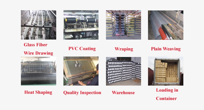 Color, transparent png #4224666