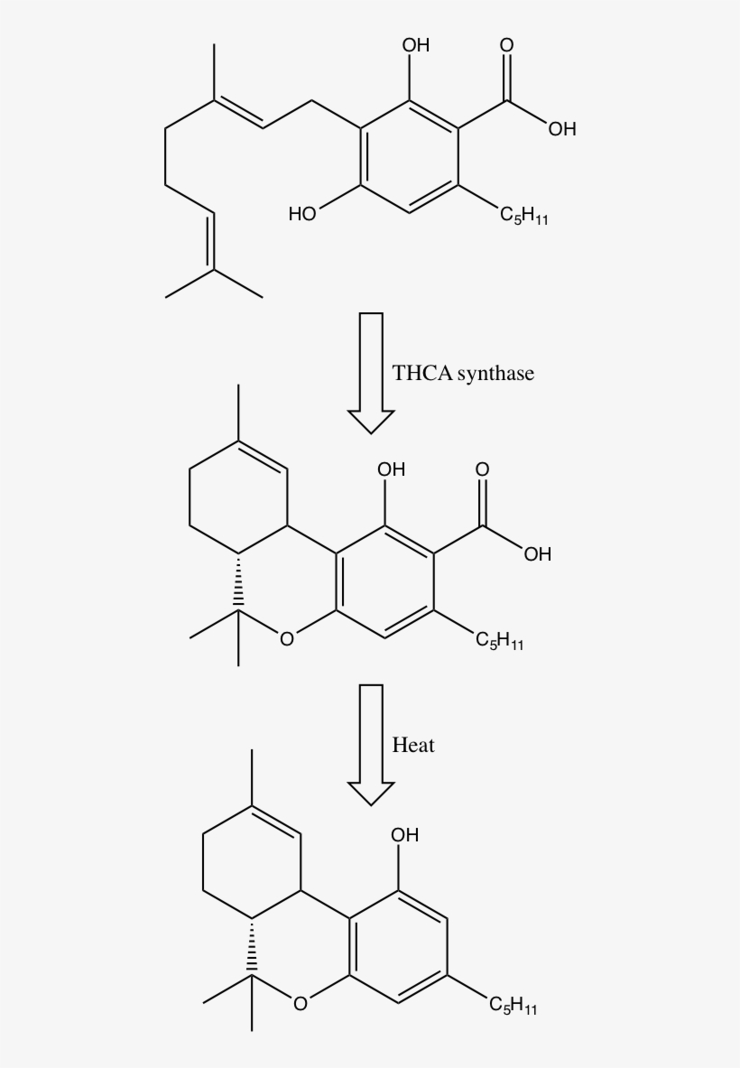 Gardner Thc Pic2 - Tetrahydrocannabinol, transparent png #4224739
