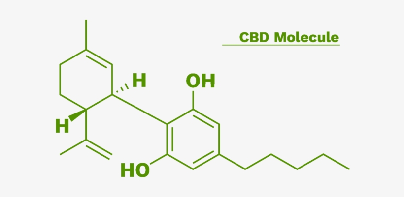 How Does Masaya Differ From Other Cbd Oils - Aflatoxin B1, transparent png #4224784