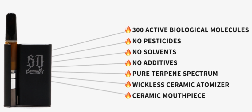 Sauce, transparent png #4225202