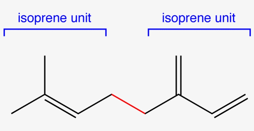 Photo Taken From - Isoprene Units, transparent png #4225305