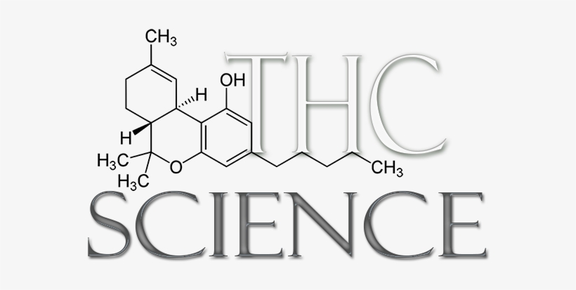 Bringing Science To The Cannabis Conversation - Thc Molecule Pillow Case, transparent png #4225559