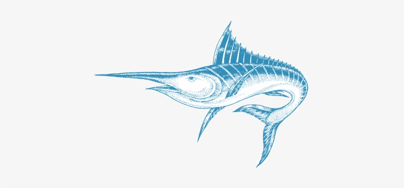Atlantic Blue Marlin, transparent png #4226270