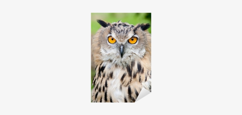 Painting, transparent png #4226473