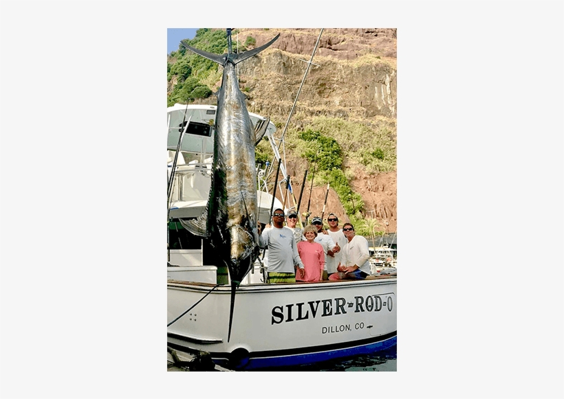 Fish Monkey Pr - Atlantic Blue Marlin, transparent png #4226544