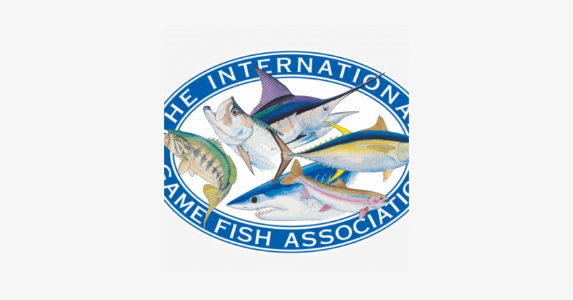 International Game Fish Association, transparent png #4226571