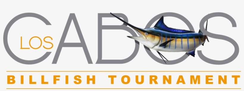 Los Cabos Billfish Tournament, transparent png #4226589