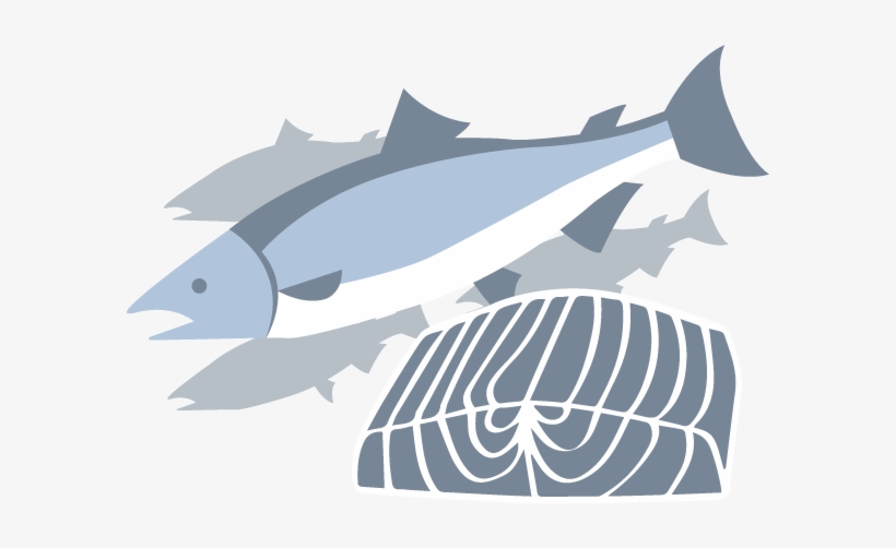 It's Important To Avoid Fish That Are High In Mercury, - Billfish, transparent png #4226611
