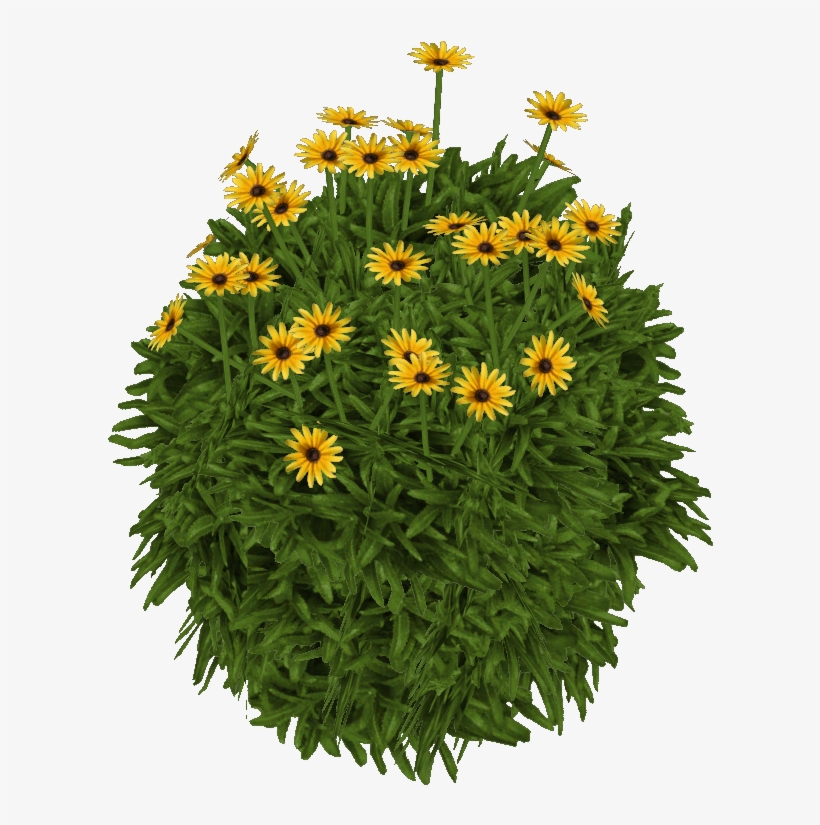 Susanblackeyed Jimmyzhoopz - Gazania, transparent png #4226636