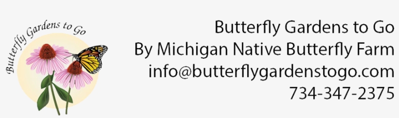 Butterfly Gardens To Go - Butterfly, transparent png #4227029