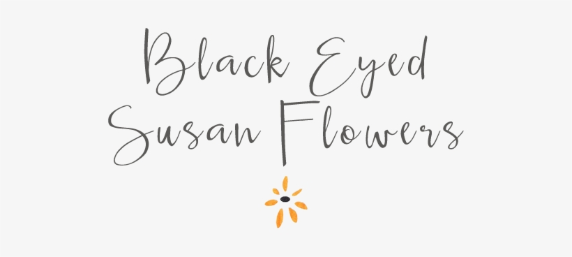 Black Eyed Susan Flowers - Flower, transparent png #4227165